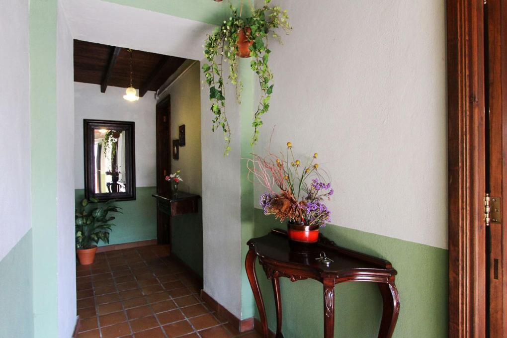 Casa Rural Los Aromos - Wunderschones Landhaus Mit Meerblick Hermigua Εξωτερικό φωτογραφία